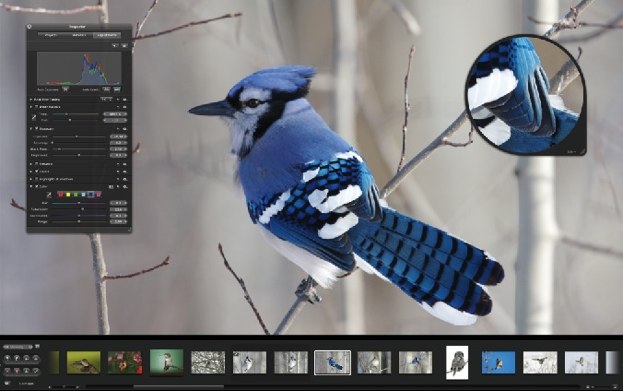 Les meilleurs logiciels photo professionnels pour traiter vos photos